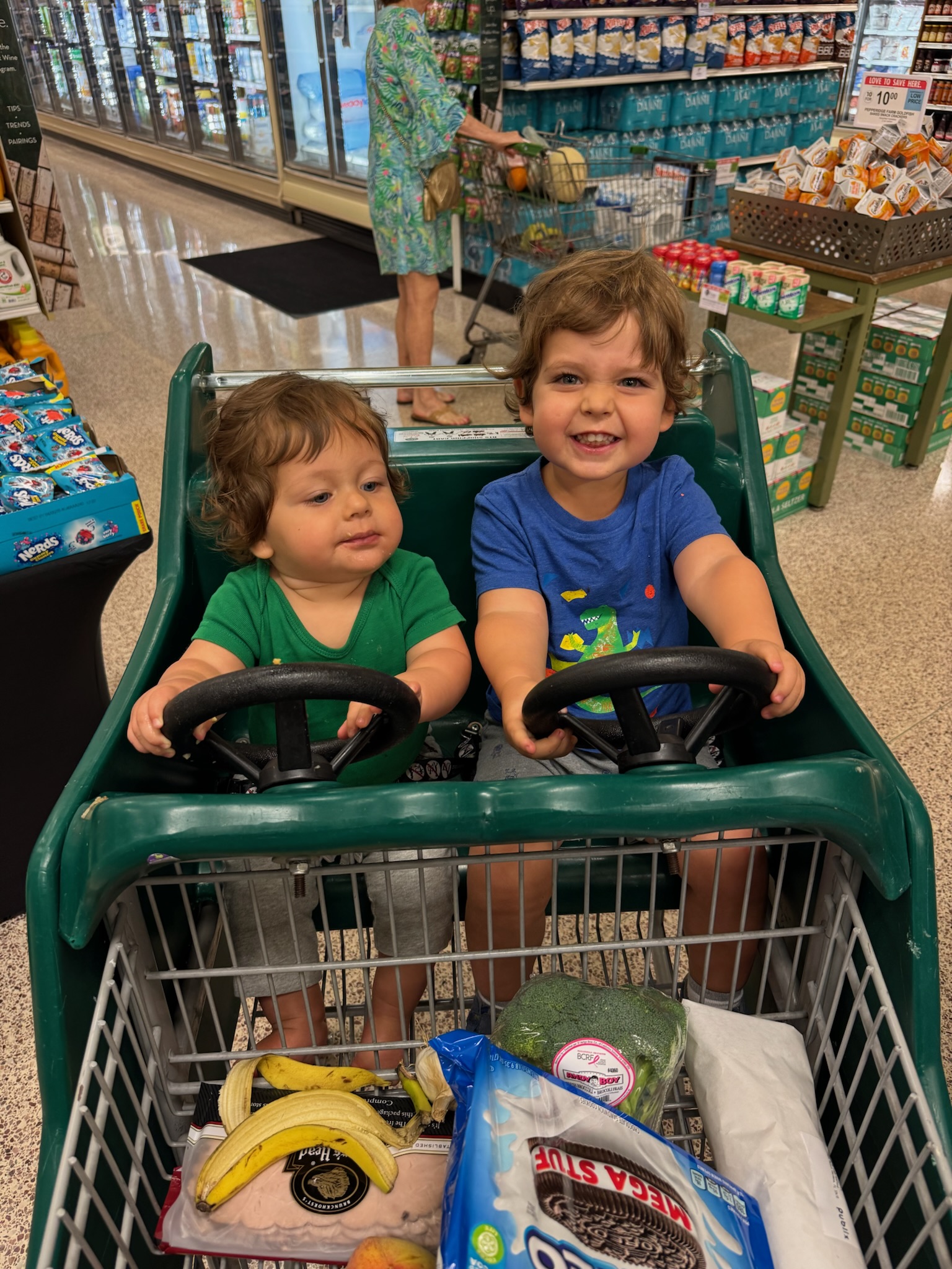 Kids in shopping cart
